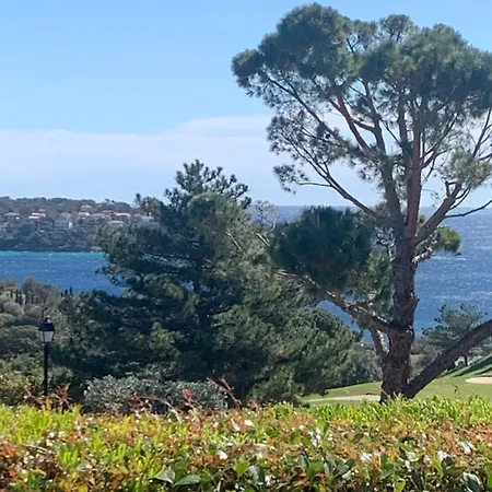 T2 En Rez De Jardin Privatif Cloture , Cap Esterel Pierre Et ,piscine Chauffee Des Le 05 Avril Au 02 Novembre Apartment