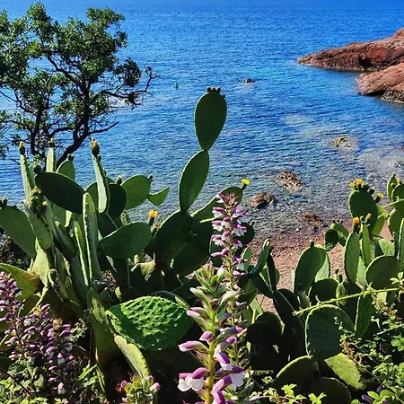 T2 En Rez De Jardin Privatif Cloture , Cap Esterel Pierre Et ,piscine Chauffee Des Le 05 Avril Au 02 Novembre Apartment *