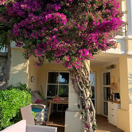 Premium Genius - Separee -vue -jardin Cloture -terrasse -parking - Piscine Chauffee Du 04 Avril Au 01 Novembre- Raphael * Saint-Raphael (Var)
